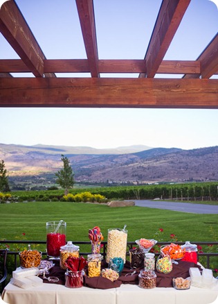 Julia and Dale_wedding_Vaseux-lake_Okanagan_summer_Hester Creek Winery_Oliver0399_by-Kevin-Trowbridge