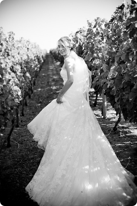 Julia and Dale_wedding_Vaseux-lake_Okanagan_summer_Hester Creek Winery_Oliver3595_by-Kevin-Trowbridge