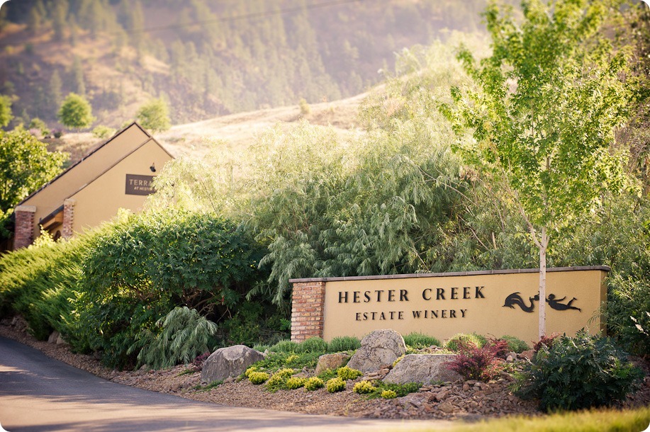 Julia and Dale_wedding_Vaseux-lake_Okanagan_summer_Hester Creek Winery_Oliver5999_by-Kevin-Trowbridge